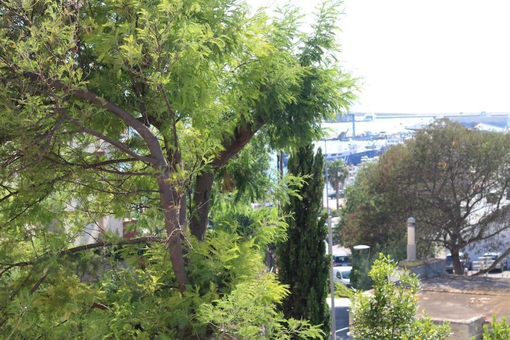 Roses-puigrom, 5 Minutos Del Mar , Vistas Appartement